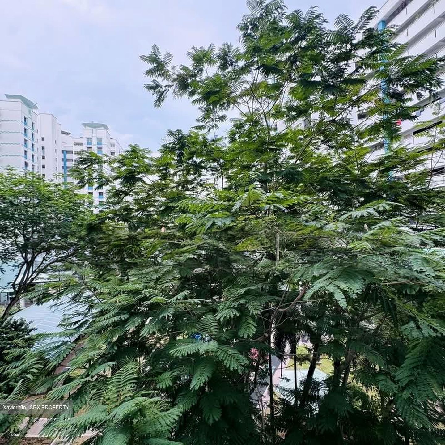 Blk 304A Anchorvale Court (Sengkang), HDB 4 Rooms #574205761